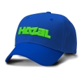 HAZEL LOGO - niebieska z zielonym.jpg